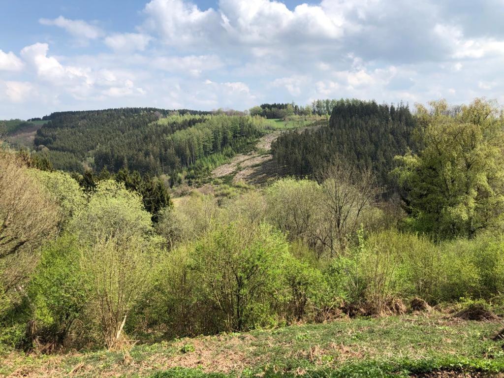 Le Cottage Du Raidillon Malmedy Εξωτερικό φωτογραφία